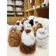 Auskin Alpaca Friends新西兰羊驼驼羊玩偶 黑色 2种尺寸